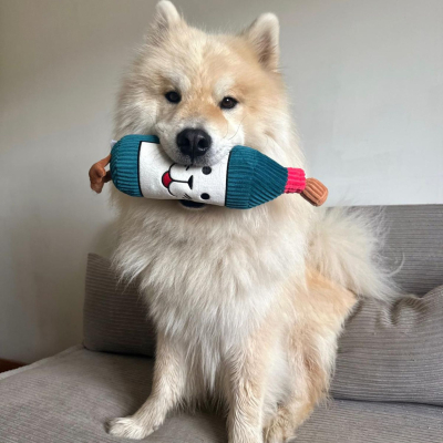 Plush dog toy - Wine bottle