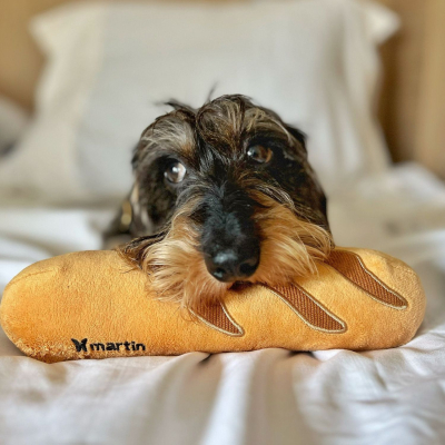 Plush toy for dog - Baguette