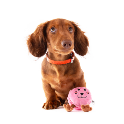 Plush Toy for Dog - Macaron