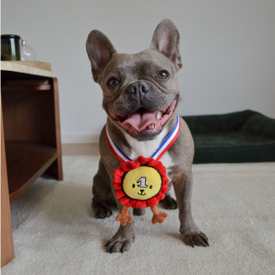 Plush toy for dog - Medal