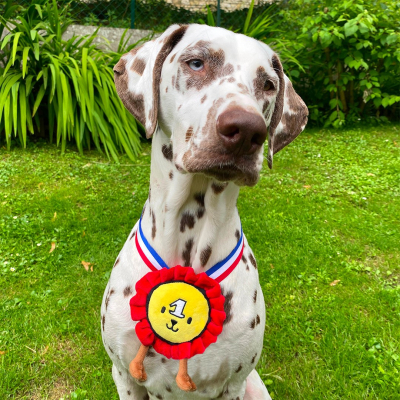 Plush toy for dog - Medal