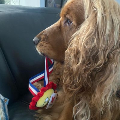 Plush toy for dog - Medal
