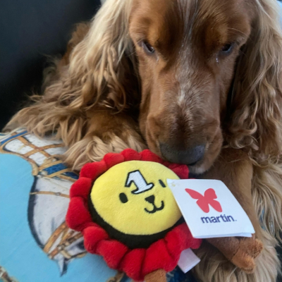 Plush toy for dog - Medal