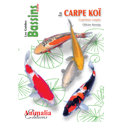 Livre - La carpe koi 1