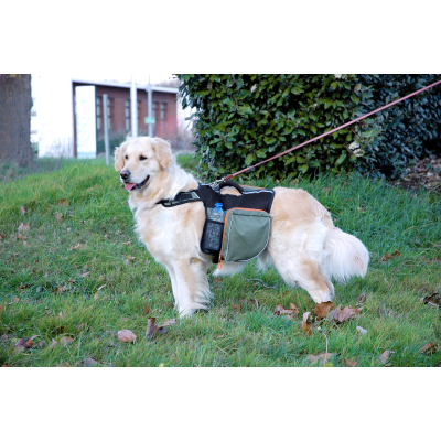 Dog backpack - green - 1