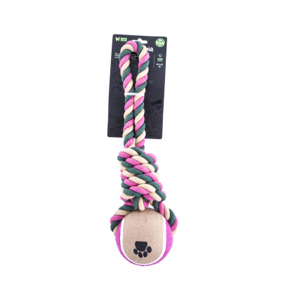 Dog toy - tennis balls - ACE ball - sold individually