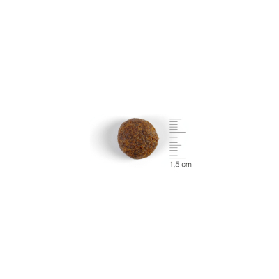 Gosbits  Dog Objective Dental Mini 150g