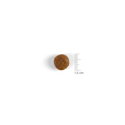 Plaisirs Duck & Raspberries 400g