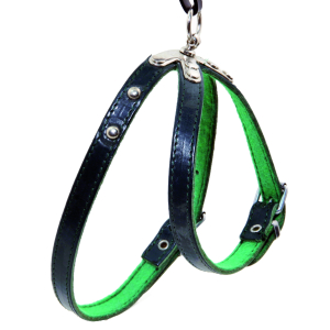 Harnais en cuir - Feutrine et clou - T45 - Vert