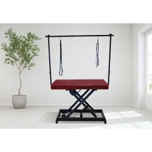 Table de toilettage électrique I-DESIGN - 120x60cm - marsala laquée x 1
