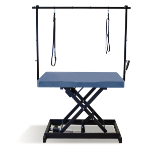 Table de toilettage électrique I-DESIGN - 120x60cm - récif laquée 1