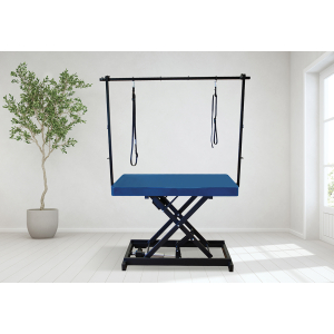 Table de toilettage électrique I-DESIGN - 120x60cm - grand large laquée 1