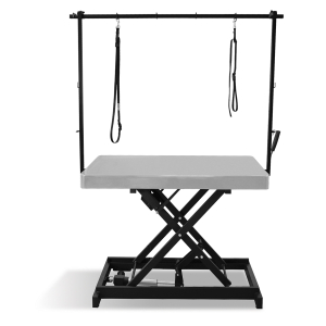 Table de toilettage électrique I-DESIGN - 120x60cm - mineral laquée 1