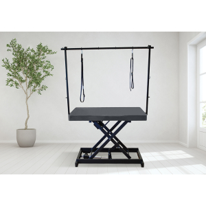 Table de toilettage électrique I-DESIGN - 120x60cm - acier laquée x 1