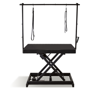 Table de toilettage électrique I-DESIGN - 120x60cm - intemporel laquée 1