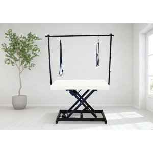 Table de toilettage électrique I-DESIGN - 120x60cm - lin poudré laquée 1