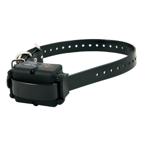 SDR-FSE ADDITIONAL RECEIVER