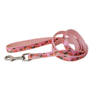 Laisse en nylon - Cerises - 1m20 - 2.5cm - rose 1