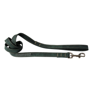 Laisse en nylon - Double strass - 1.20m - Vert 1
