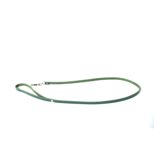 Leather leash - Straight cut - 1m - Green 1
