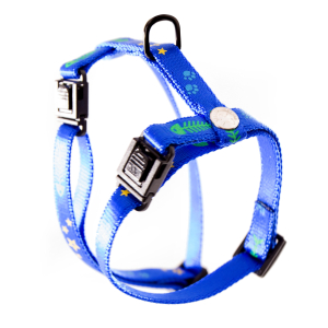 Nylon cat harness - Fish & Star - 35/50cm - 1cm - blue - 1