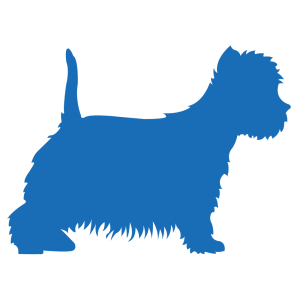 Sticker - Westie - 15cm - blue x 1
