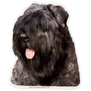 Sticker - Bouvier des Flandres - 14 diameter 15cm - grey 1