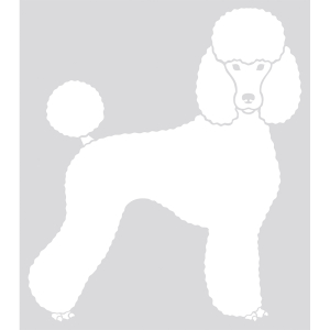 Autocollant - Silhouette caniche - 20cm - noir x 1