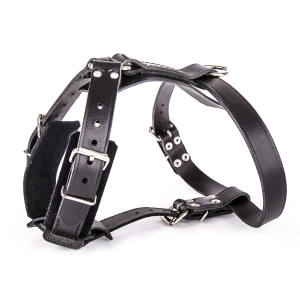 Simple and elegant felted leather harness