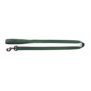 Laisse en nylon - <120cm - 2.5cm - vert 1