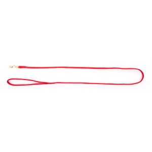 Laisse dorée en nylon - <120cm - 0.7cm - rouge 1