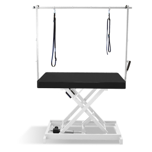 Table de toilettage électrique I-DESIGN - 120x60cm - intem 1