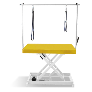 Table de toilettage électrique I-DESIGN - 120x60cm - Moutarde laquée châssis blanc - 1 PCB