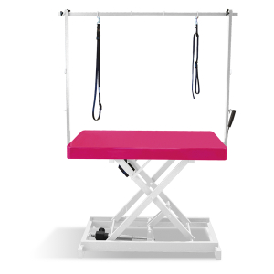 Table de toilettage électrique I-DESIGN - 120x60cm - Mangue laquée châssis blanc PCB 1