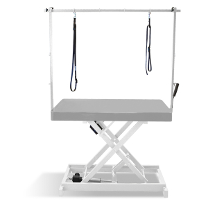 Table de toilettage électrique I-DESIGN - 120x60cm - Mineral laquée châssis blanc PCB 1