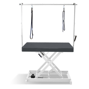 Table de toilettage électrique I-DESIGN - 120x60cm - Acier laquée châssis blanc  x 1