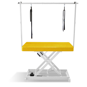 Table de toilettage électrique I-DESIGN - 120x60cm - Moutarde pailletée châssis blanc PCB 1