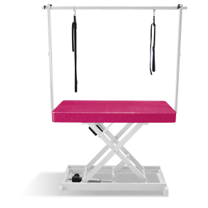 Table de toilettage électrique I-DESIGN - 120x60cm - Azalée pailletée châssis blanc 1