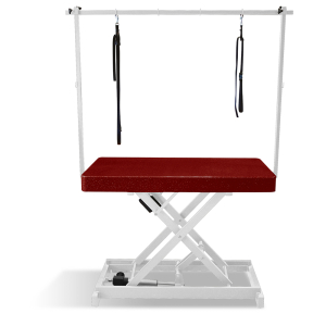 Table de toilettage électrique I-DESIGN - 120x60cm - Marsala pailletée châssis blanc PCB 1