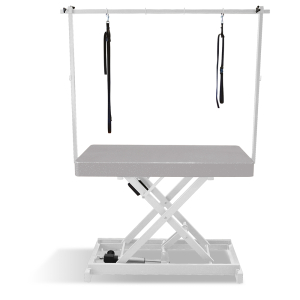 Table de toilettage électrique I-DESIGN - 120x60cm - Minérale pailletée châssis blanc PCB 1