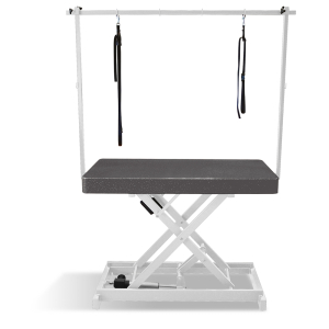 Table de toilettage électrique I-DESIGN - 120x60cm - Acier pailletée châssis blanc 1
