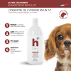 Laisse enrouleur pour chien - Flexi - new classic cordon bleu - Taille S - Longueur 8m