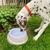 Corbeille pour chien et chat  carrée Alter Ego bleue - e - L - 60x60x25 cm
