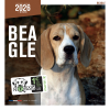 Manteau pour chien - Outdoor - 22 cm