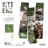 Manteau pour chien - Outdoor - 31 cm