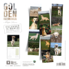 Manteau pour chien - Outdoor - 34 cm
