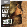 Calendrier - Berger Belge Malinois - 2027 1