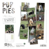 Laisse pour chien - nylon pour chien - So chic vert