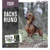 Laisse pour chien - nylon pour chien - So chic  rouge
