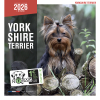 Collier nylon pour chien - So chic rouge